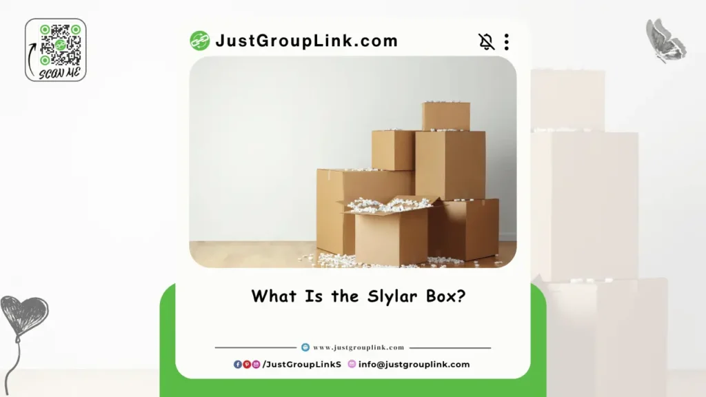 What Is the Slylar Box?